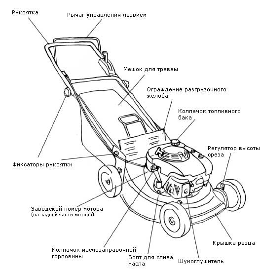 Конструкция бензиновой газонокосилки Конструкция бензиновой газонокосилки