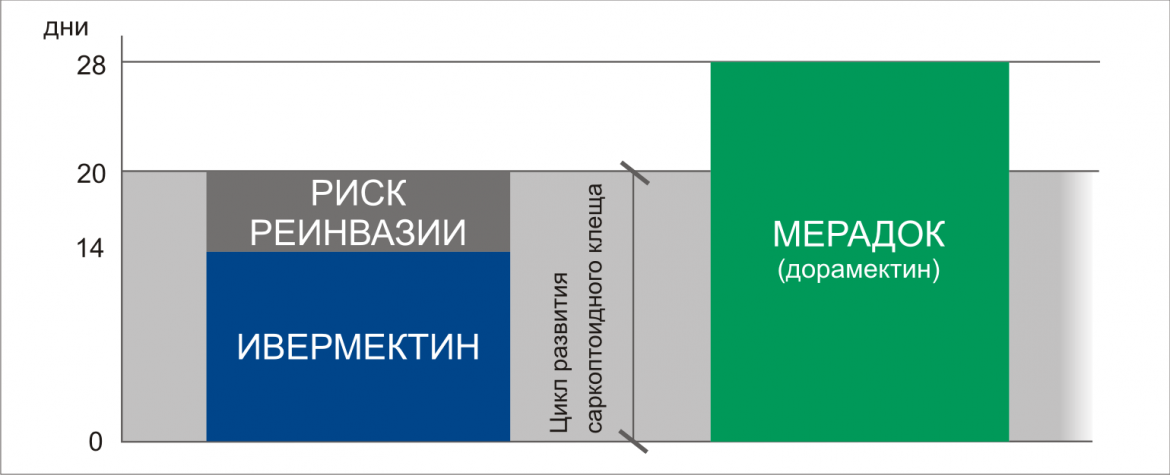 Мерадок, Фармакологические свойства Мерадок фото 3, Фармакологические свойства